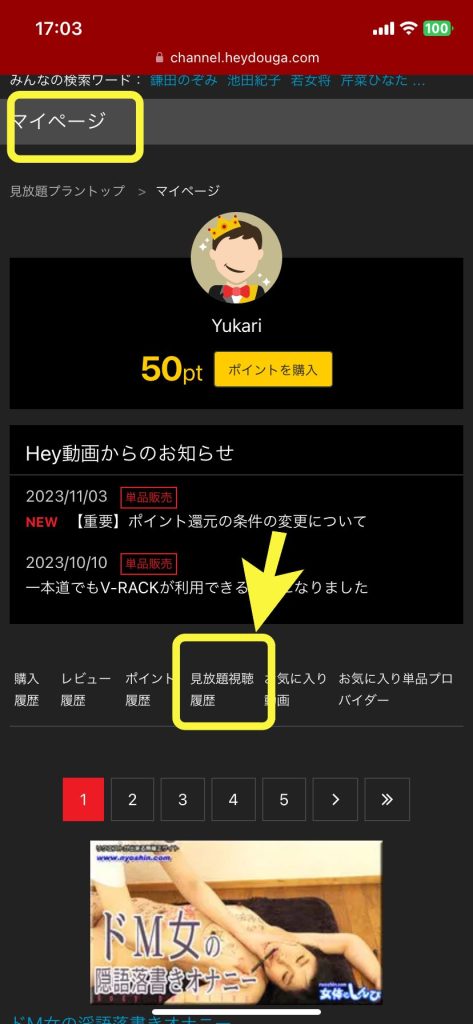 Hey動画月額見放題履歴