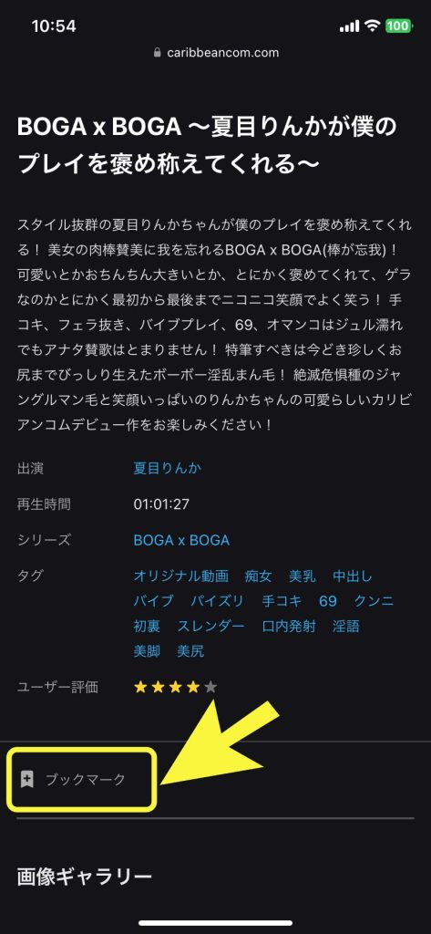 夏目りんか・ブックマーク